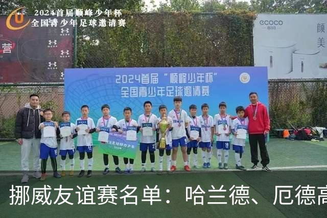 挪威友谊赛名单：哈兰德、厄德高领衔